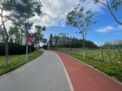 -上海长兴岛郊野公园