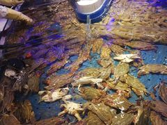 -澜悦港海鲜体验主题餐厅