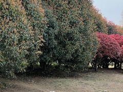 -钟山体育运动公园