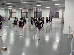 -西安小天鹅艺术团(金花路校区)