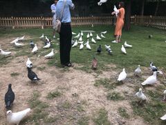 -台儿庄古城