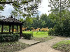 -宿豫区运河湾森林动物园