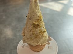 -野人先生现做冰淇淋(北京王府井东方新天地店)