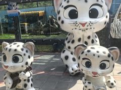-青藏高原野生动物园