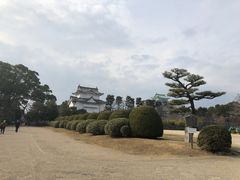 -名古屋城