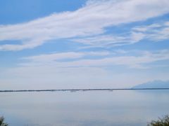 -哈素海