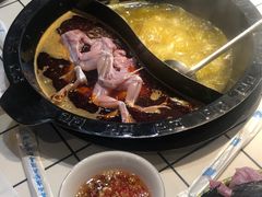 -蛙之绝石锅美蛙鱼头(万达广场攀枝花店)