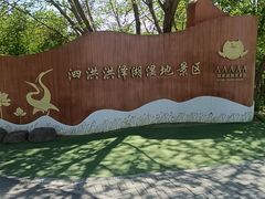 -泗洪洪泽湖湿地景区