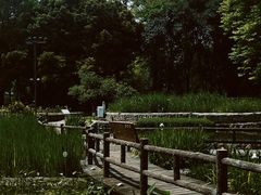 -成都市活水公园