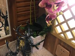 -嘉慧女子水汇