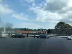 -上海崇明金茂凯悦酒店