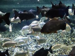 -成都浩海立方海洋公园