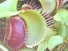 -国家植物园南园