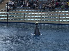 -北戴河圣蓝海洋公园