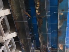 -宾朋海鲜特色美食餐厅·纯手工鲅鱼水饺(兴海路店)