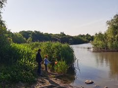 -吴淞炮台湾湿地森林公园烧烤区