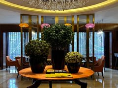 -长沙芙蓉国温德姆至尊豪廷大酒店 - 自助餐厅