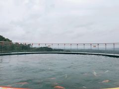 -牛鱼嘴原始生态风景区