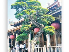 -南普陀寺