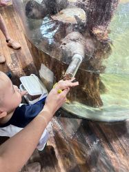 -Zoolung Zoolung动物主题公园(海信广场店)