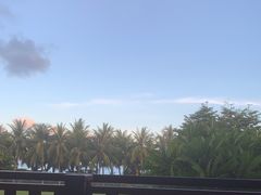 -亚龙湾红树林度假酒店-韩轩韩餐厅