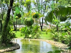 -广东花都香草世界旅游度假区