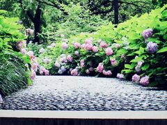 景点-常州古运河南大街文化旅游区-人民公园