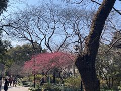 -杭州植物园