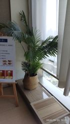 -JNK皮肤管理中心