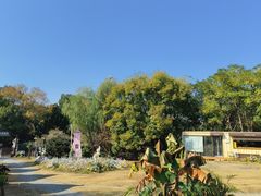 -白马涧龙池景区