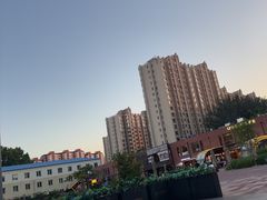 -老黑板筋(顺义总店)