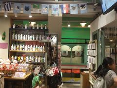 -猫咪博物馆(顶澳仔猫街店)