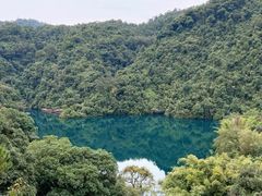 -鼎湖山风景区