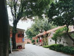 -晋江五店市传统文化旅游区
