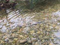 -楠溪江风景名胜区