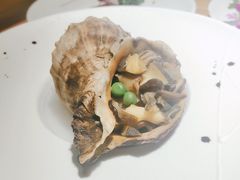芥末海螺片-酒久自助料理(佳兆业店)