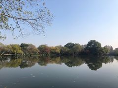 -西湖外事游船(花港观鱼码头)