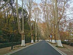 -灵谷景区