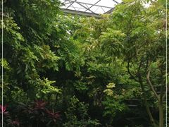 -呀路古热带植物园