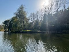 -溱湖国家湿地公园