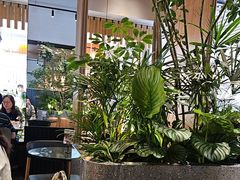 -gaga(深圳福田星河COCO Park店)