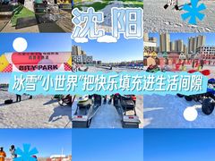 -丁香湖丁香小镇Citypark滑雪公园戏雪嘉年华
