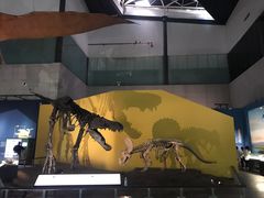 -湖南省地质博物馆