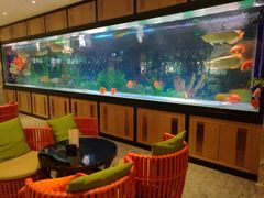 -弘安丽水温泉酒店