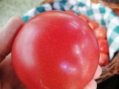 -超市发超市(羊坊店店)