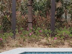 -九华山酒店温泉