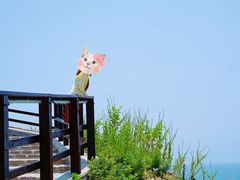 -小麦岛公园