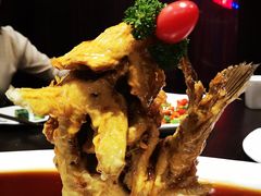 糖醋鲤鱼-老牌坊鲁菜名店(聊城美食岛店)