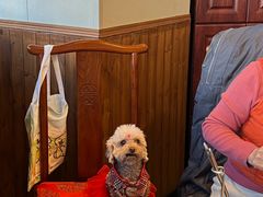 -京城胜利涮羊肉(禧乐汇店)