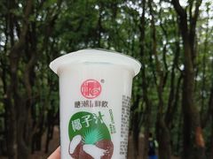 -火炉山森林公园